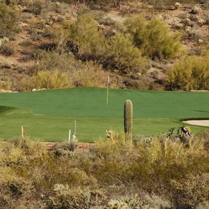 Phoenix Backyard Golf Retreat